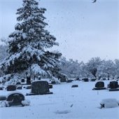 Kaysville Cemetery Cleanup
