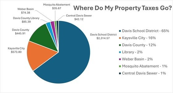 Where do my property taxes go