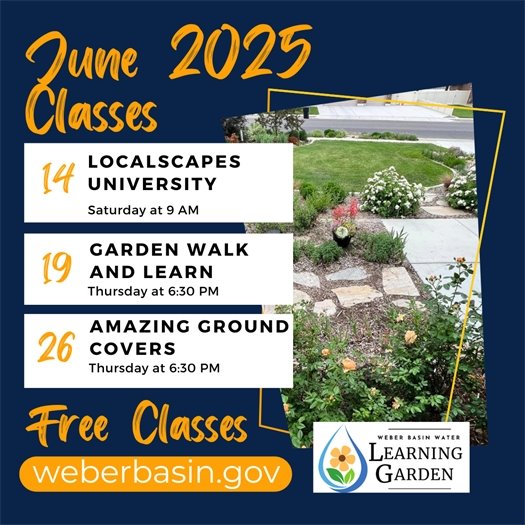 June Weber Basin Classes