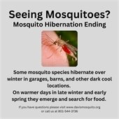 Mosquito Hibernation Ending