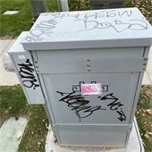 Graffiti along the Rail Trail