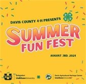 4-H Summer Fun Fest