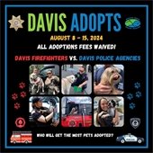 Davis Adopts