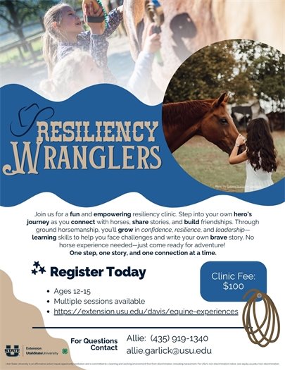 Resiliency Wranglers - USU