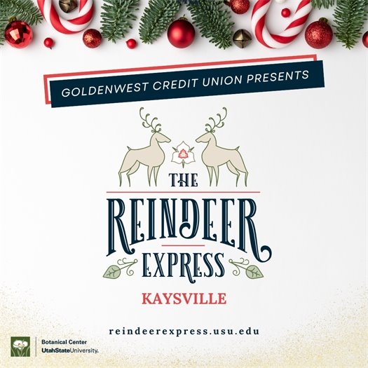 Reindeer Express