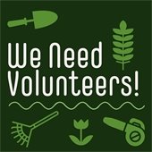 Volunteers Needed_Cemetery