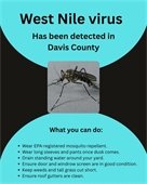 West Nile Detected