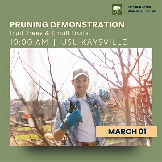 USU Pruning Demonstration