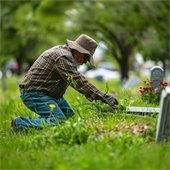 Cemetery Cleanup