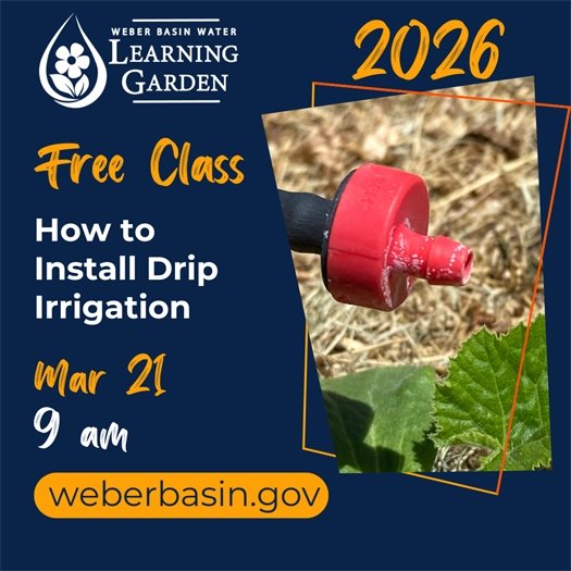 March 21 - How to Install Drip Irrigation