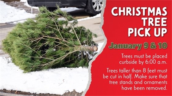 Christmas Tree Pick Up