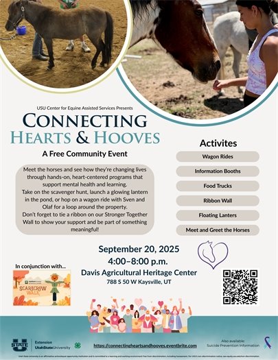 Connecting Hearts and Hooves