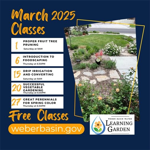 Weber Basin Classes