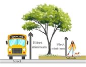 Low-Hanging Branches