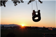Tire Swing