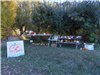 DeneseEggett Harvey Pumpkin Stand