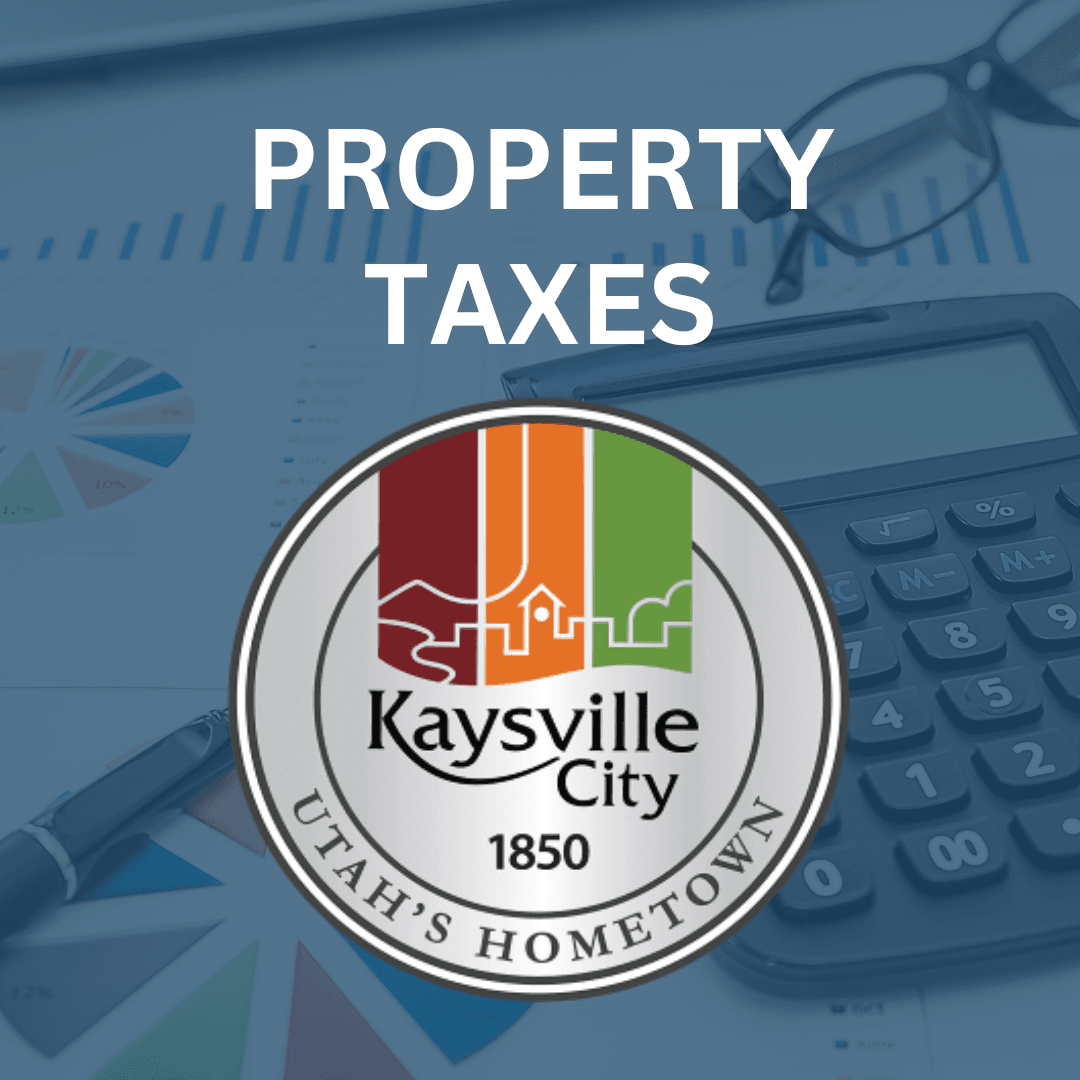PROPERTY TAXES