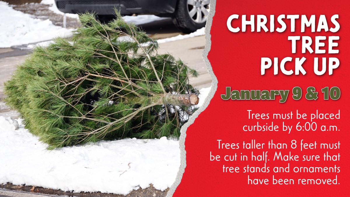 Christmas Tree Pick Up