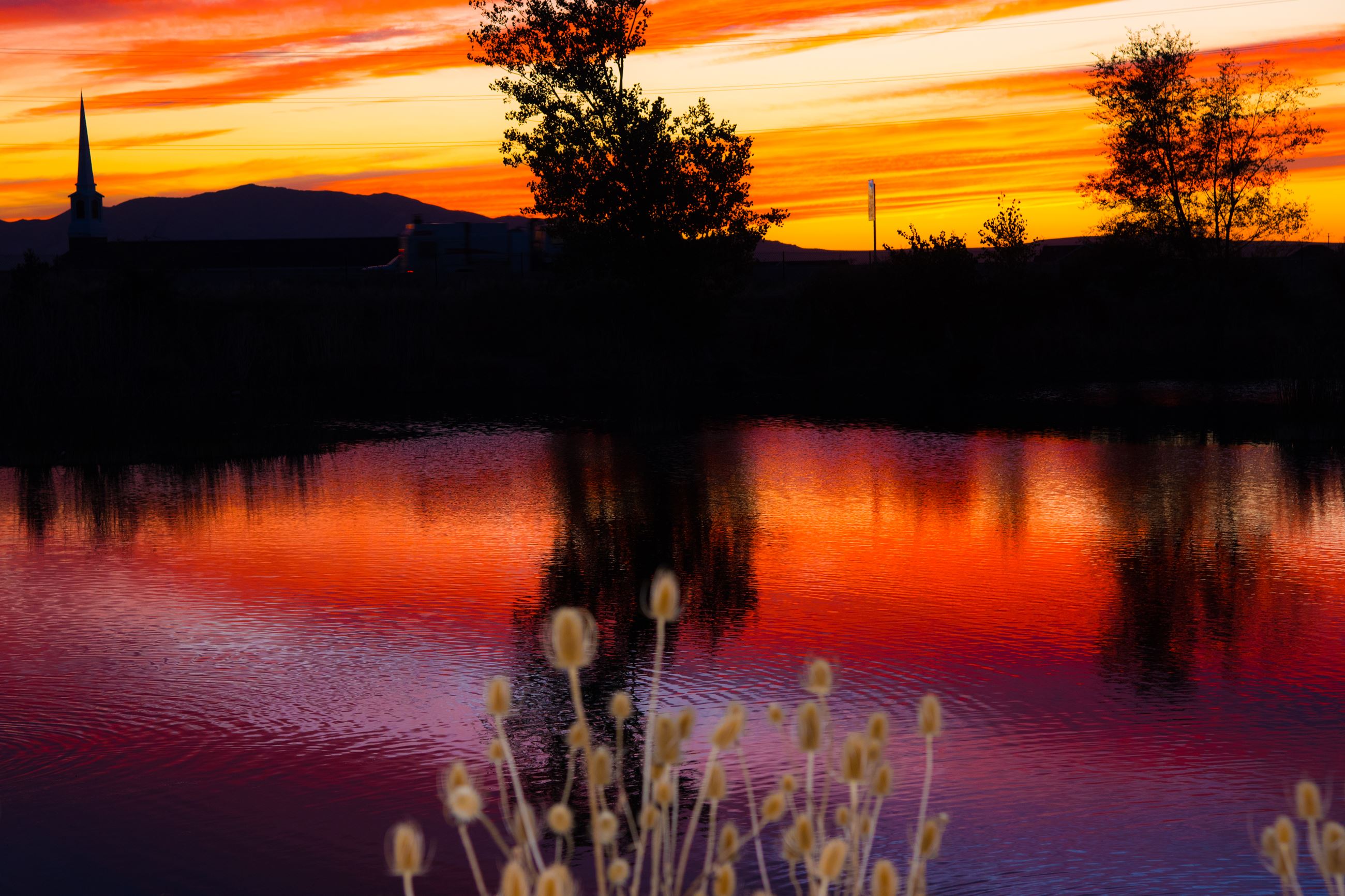 Norma Carver Ponds Park October 2017 Photo Contest