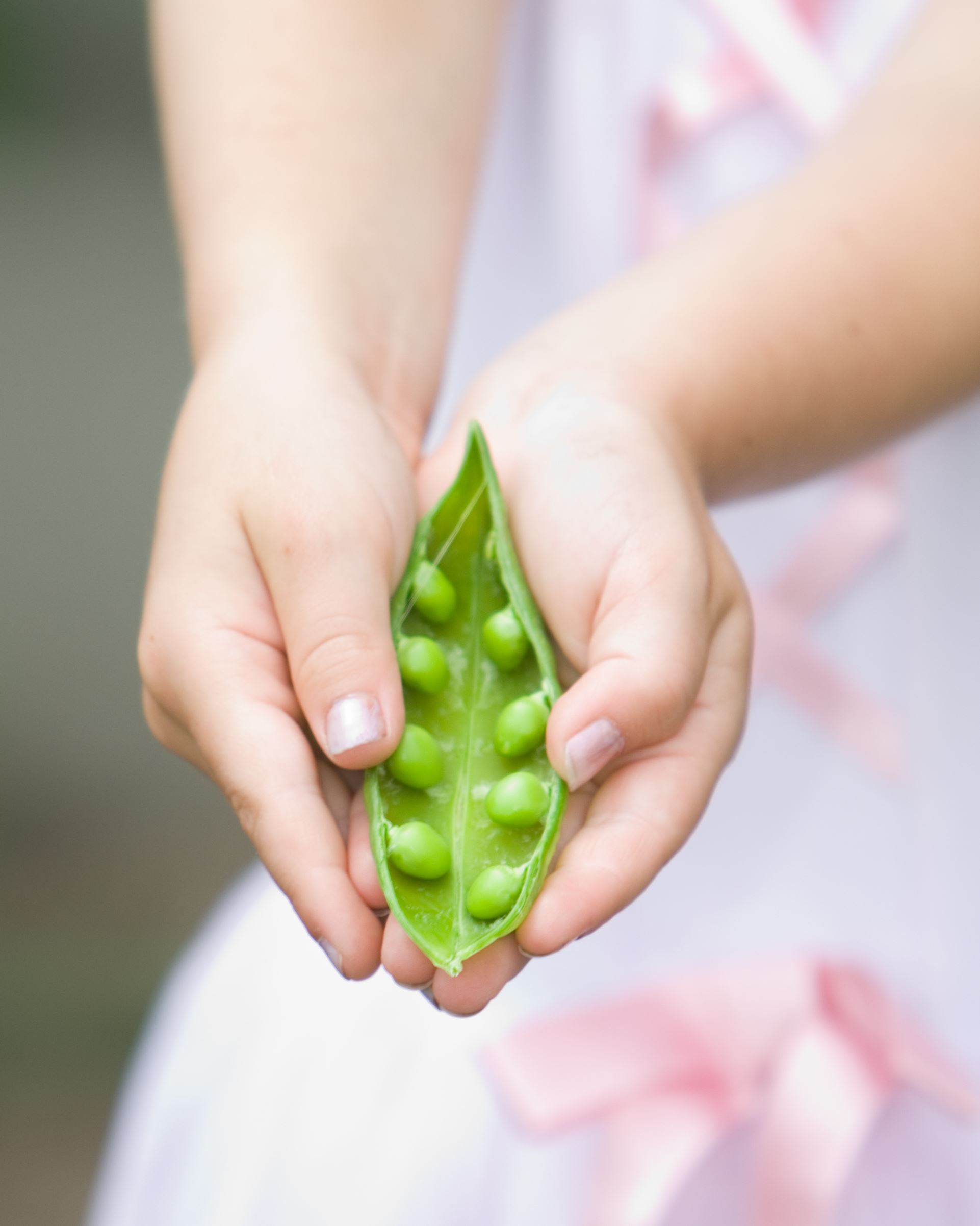 Child holding pea pod