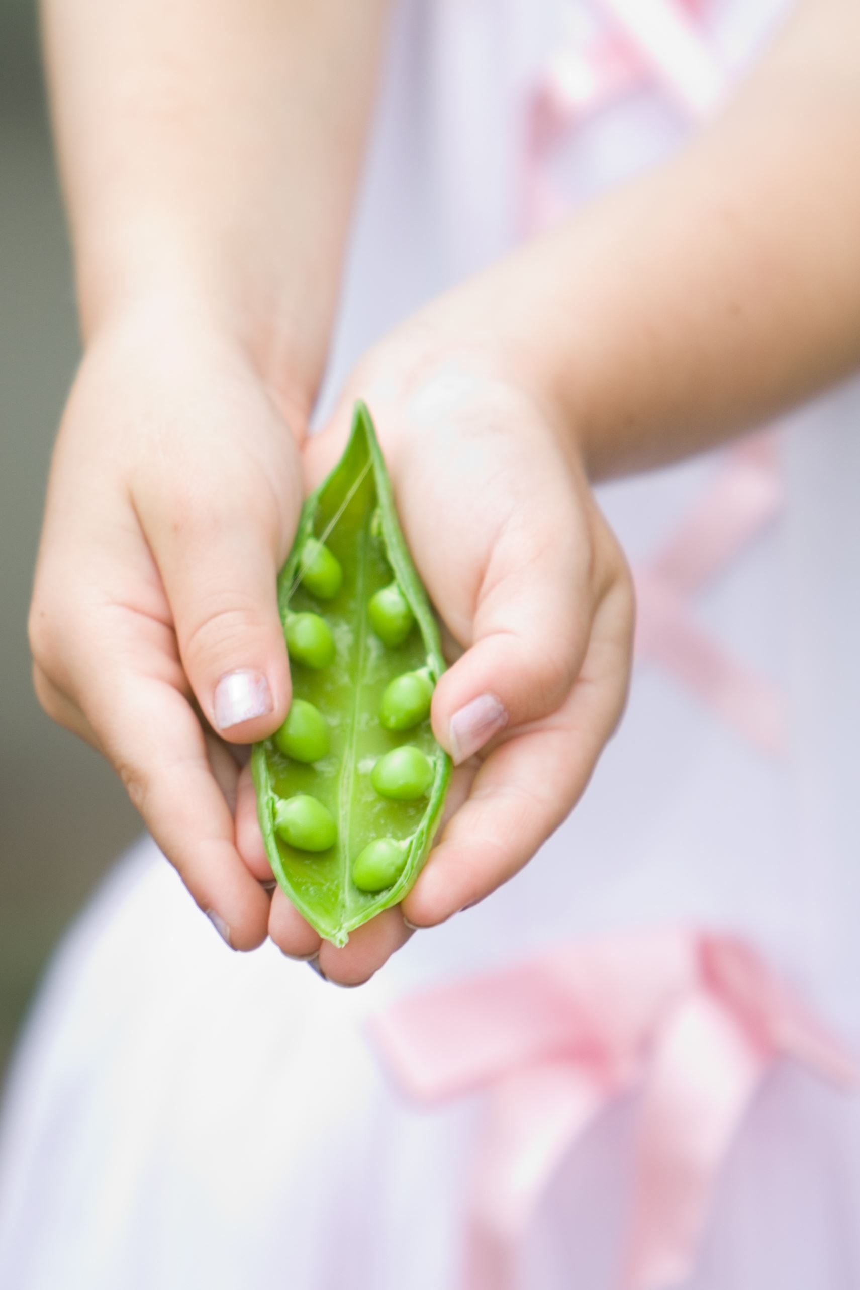 Child holding pea pod